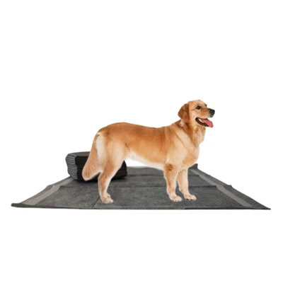 Pad kabòn bèt kay pou retire odè dezagreyab