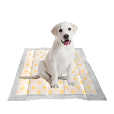PH Tès Sante Siveyans Kousinen Puppy jetab