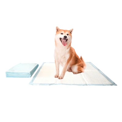 Tianjin Yiyi Silver ion anti -bakteri Potty Pad
