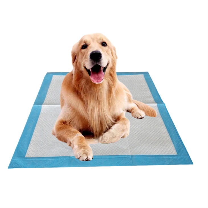 Vacuum konpresyon jetab chen Pee Pad